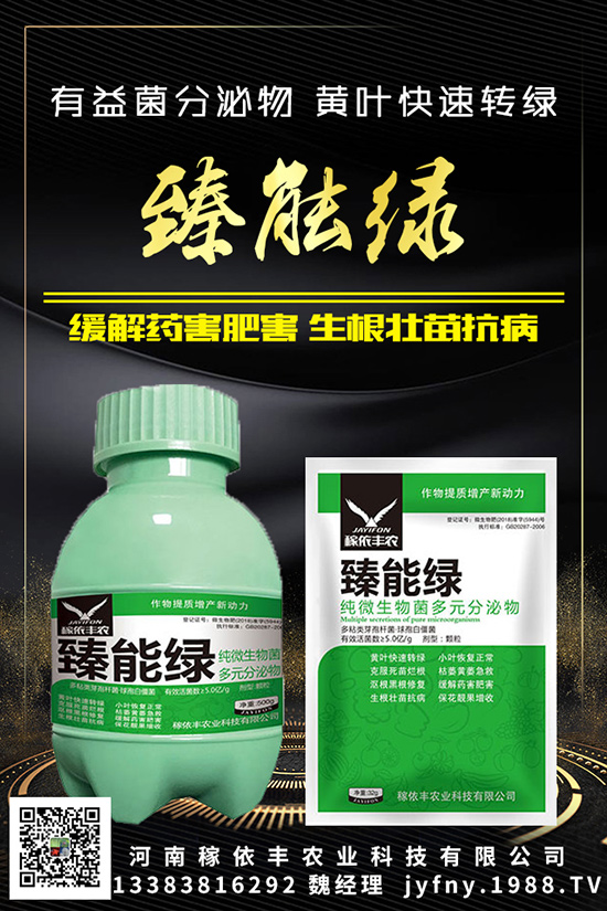 ⛷ʲ�İ������(du��)�����Ӱ���֪������