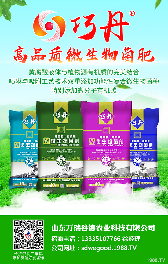 ؕ������Щ���湦Ч��ؕ�ջ��Ĺ�Ч�����c����