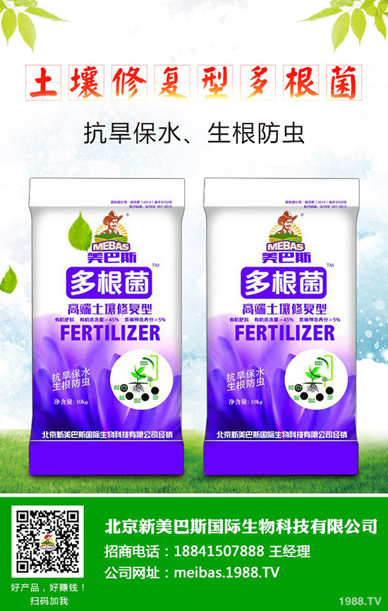洋蔥的需肥特點(diǎn)有哪些？洋蔥的施肥技術(shù)是什么！
