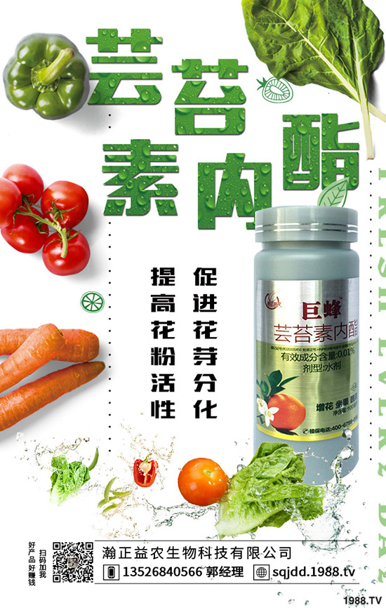 �����߲˲ɹ��ʵ�Σ���������ߴ����߲˲ɹ�����