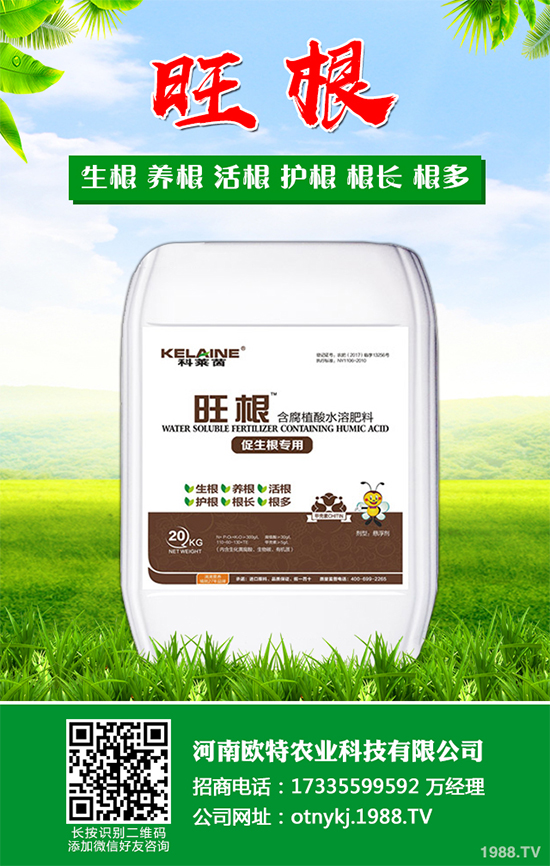 Ģ���Nֲ��Ҫʲô�l����Ģ���Nֲ�h(hu��n)��Ҫ��