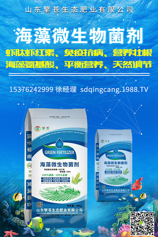     2019年12月2日復(fù)合肥行情回暖！最新企業(yè)出廠參考報價一覽！