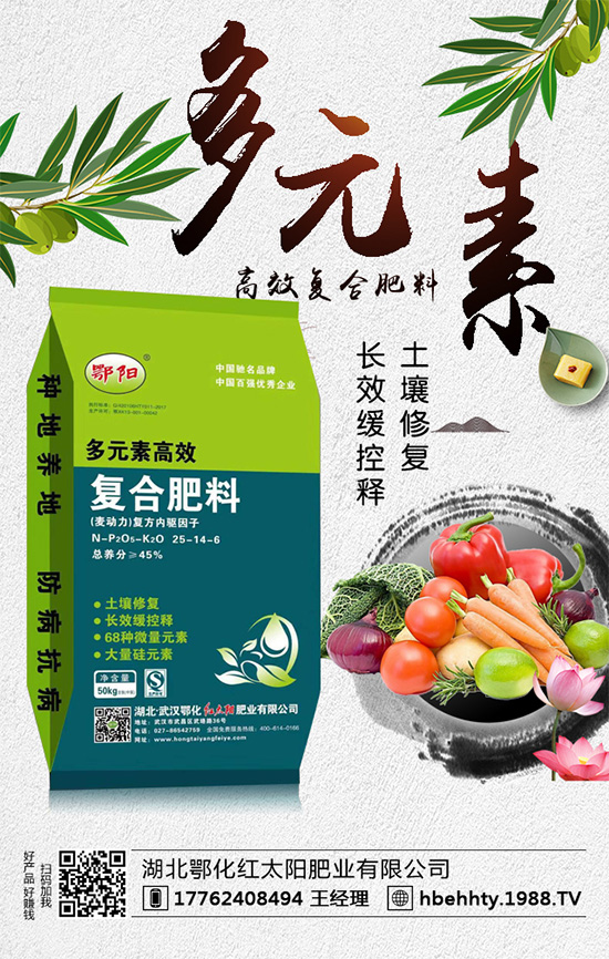 洋蔥什么時(shí)間種植？洋蔥的種植要點(diǎn)！