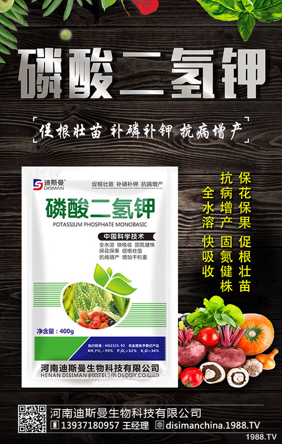 ������ô�Nֲ�������Nֲ�������ճ�����������