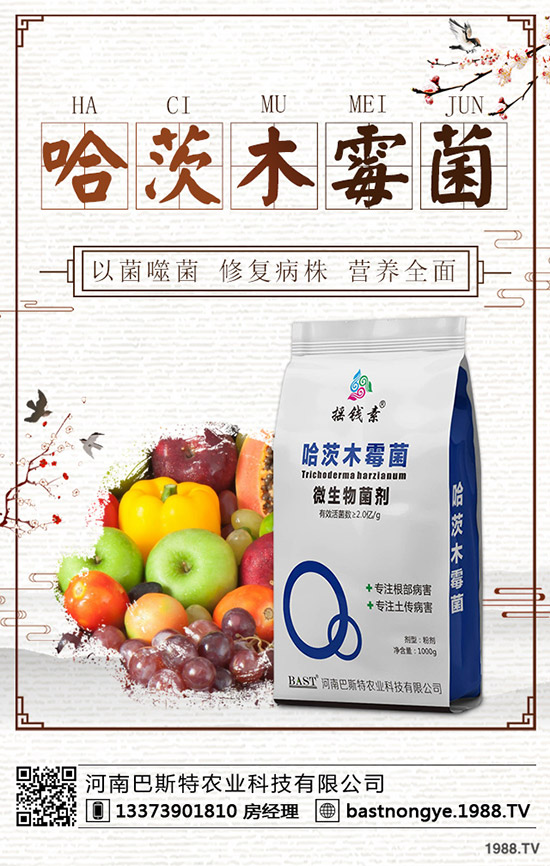 �������鼴������������⛷ʃr�������A�y2019-12-20