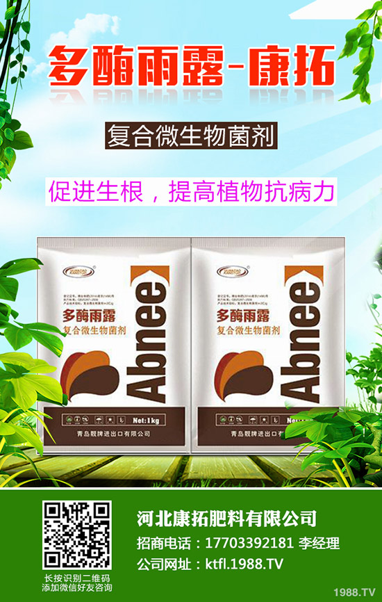 ����ÿ�������X(qi��n)��2019-12-20���ո������؃r(ji��)���߄�(sh��)����