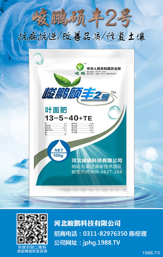 ����Ҫ�q�����ڇ�(gu��)��(n��i)�Ј�(ch��ng)���؃r(ji��)�������߄�(sh��)����2019-12-20