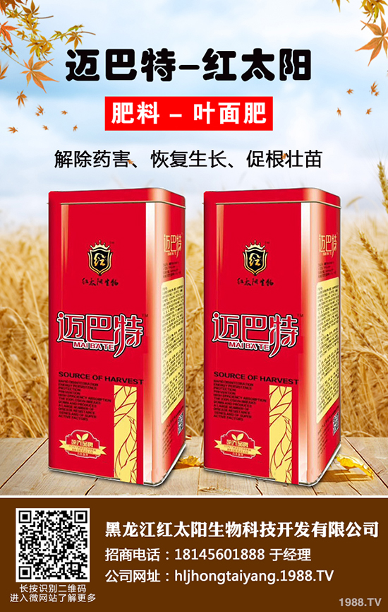 ⛷ʃr���ǝq�ǵ���2019-12-21����(n��i)����⛷ʃr���߄ݷ���