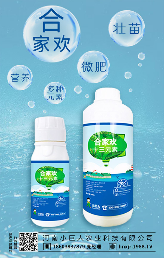 茶樹菇有哪些營養(yǎng)價值?茶樹菇的功效與作用!