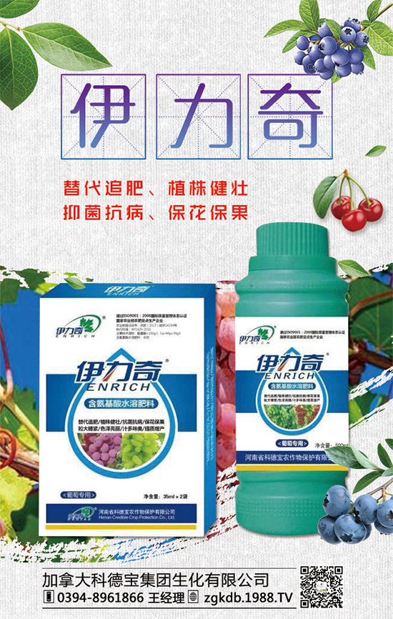     �R�����P(gu��n)�����@�����Ƿ��ϸ���2020����@�r(ji��)�������߄�(sh��)�A(y��)�y(c��)��