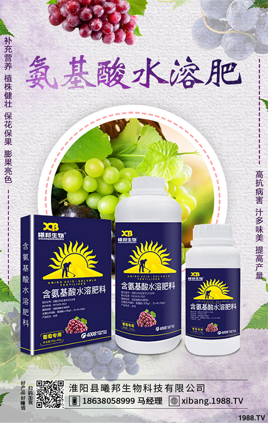 ����Nֲʲô��ٍ�X��2020���ߴ�ٍ�X�Nֲ�Ŀ�������������