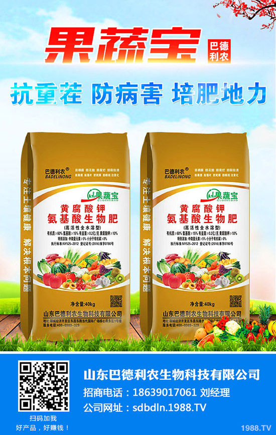     �P��a(ch��n)��������������Nֲ�P��ٍ�Xô��2020��Nֲǰ�������