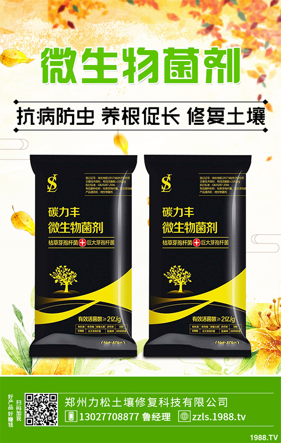 �Nֲʲôˎ����ٍ�X��2020����ˎ�ķNֲǰ������