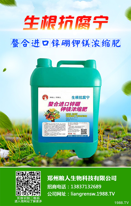 ���r����͸���������Щ�^(q��)�e���ǂ�Ч��������