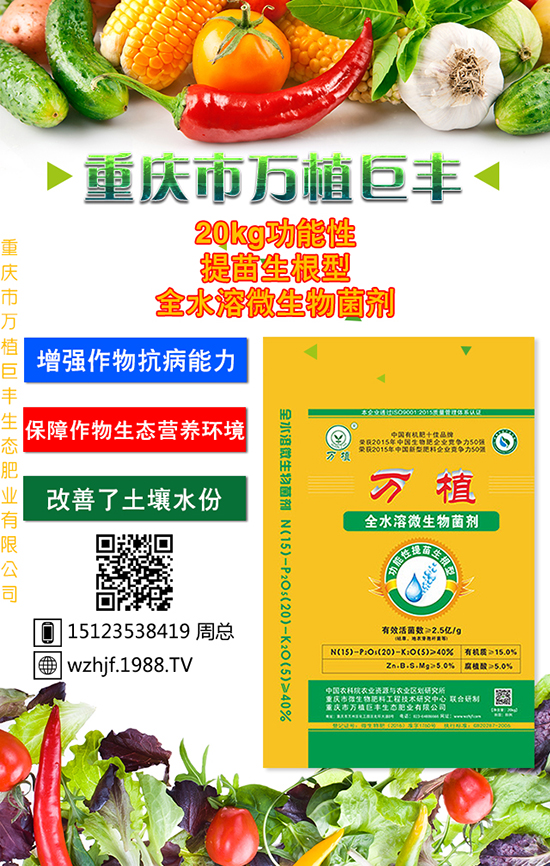 �o�O��̫�O��̫�O���Ƀx��������ʩ��Ҳ���������ˡ�