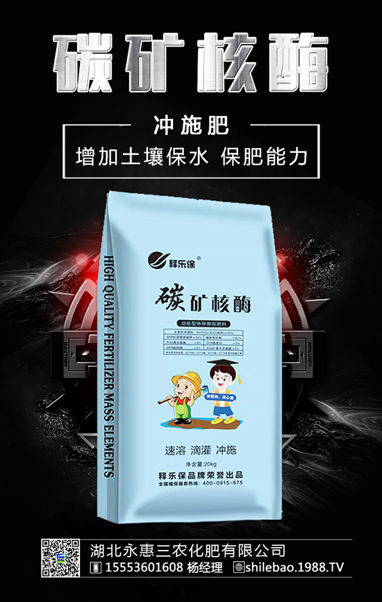 �����롰���������������ʲ����^�L������������