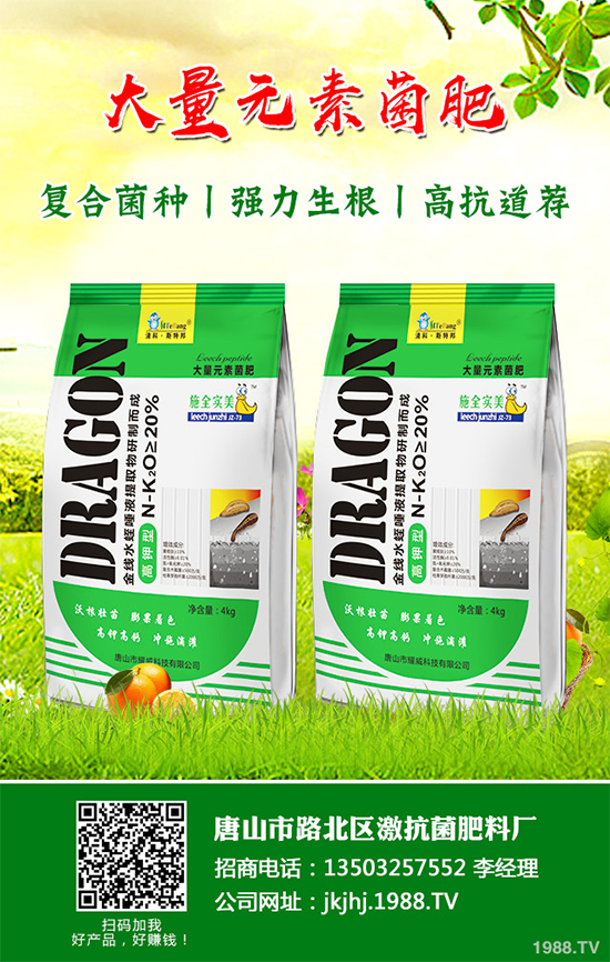 ������۲�����ЩΣ����ԓ��η����������������