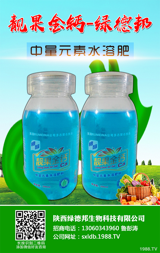 �����߲�����ЩƷ�N�������߲˵ķNֲ�l����ע�����(xi��ng)