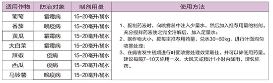 40%ϩ������˪��-�A��˪��-�A������3