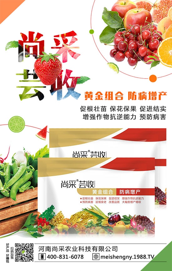 ����(sh��)�����ʵ͵�ԭ����ʲô��������(sh��)�����������ʣ�