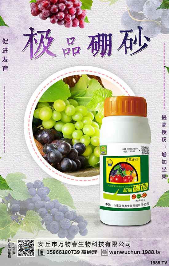 �����ηNֲ����轷Nֲ�l������Щ��