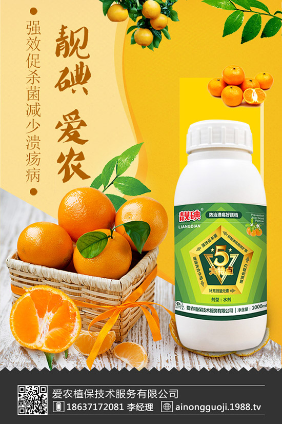 ���r(n��ng)ֲ�����g�������޹�˾