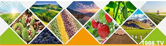 “化肥零增長”高壓下，新型肥料迅速崛起，作物科學(xué)增長空間巨大！