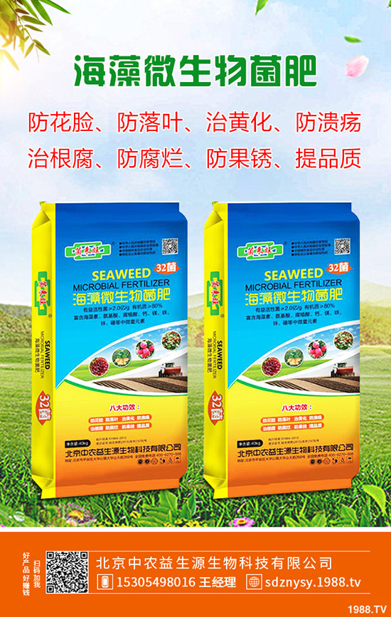 ����ʲô�r��Nֲ������һ����³�����