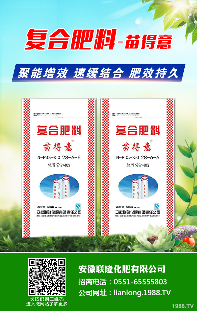 �t��������ô�������t������ȫ�����