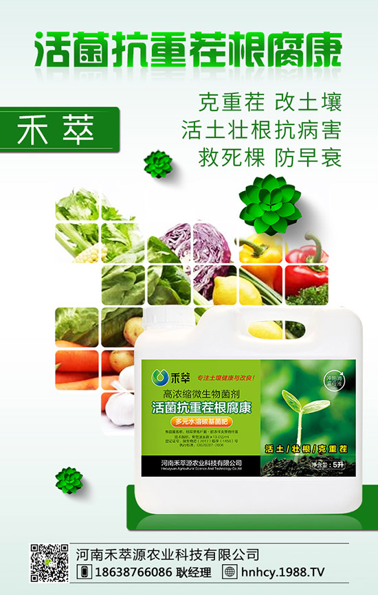 ����÷��ô�޽�������÷�޽ӷ�����