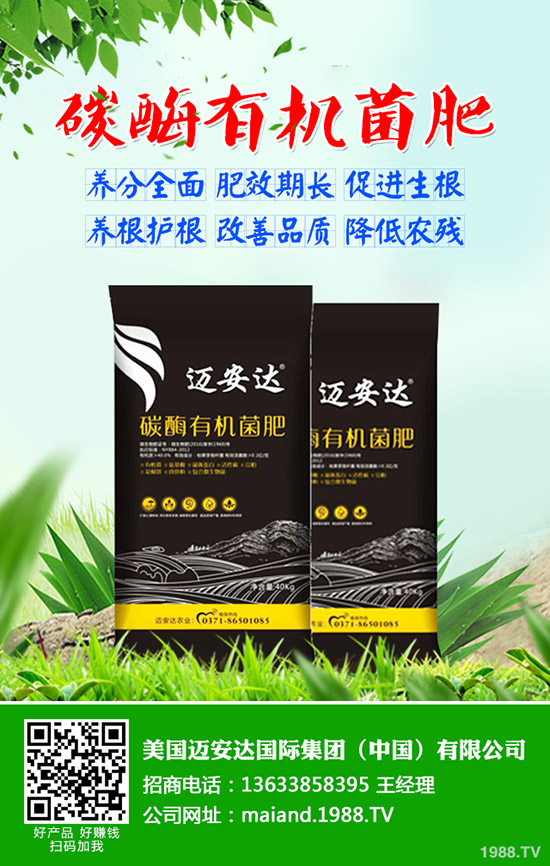 土豆什么時(shí)候種，土豆播種應(yīng)注意哪些問題？