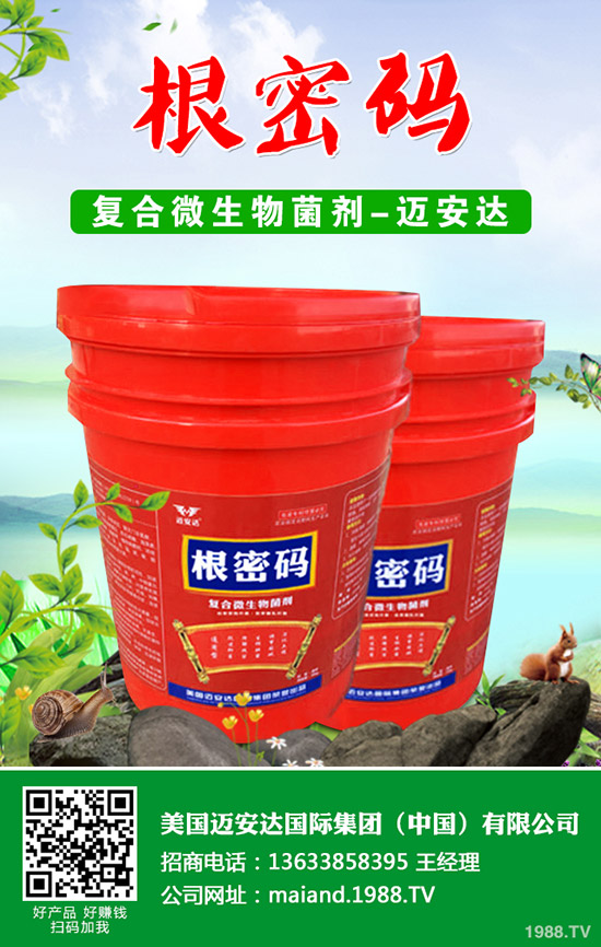 �����Jʲô�r(sh��)��Nֲ�������J�Nֲ���g(sh��)��