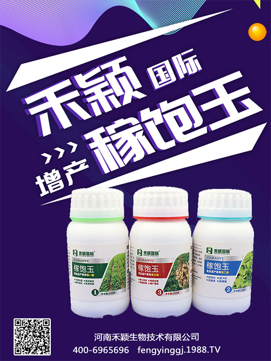 ����Nֲ���ի@�r(sh��)�g������Nֲ�����L(zh��ng)�h(hu��n)����