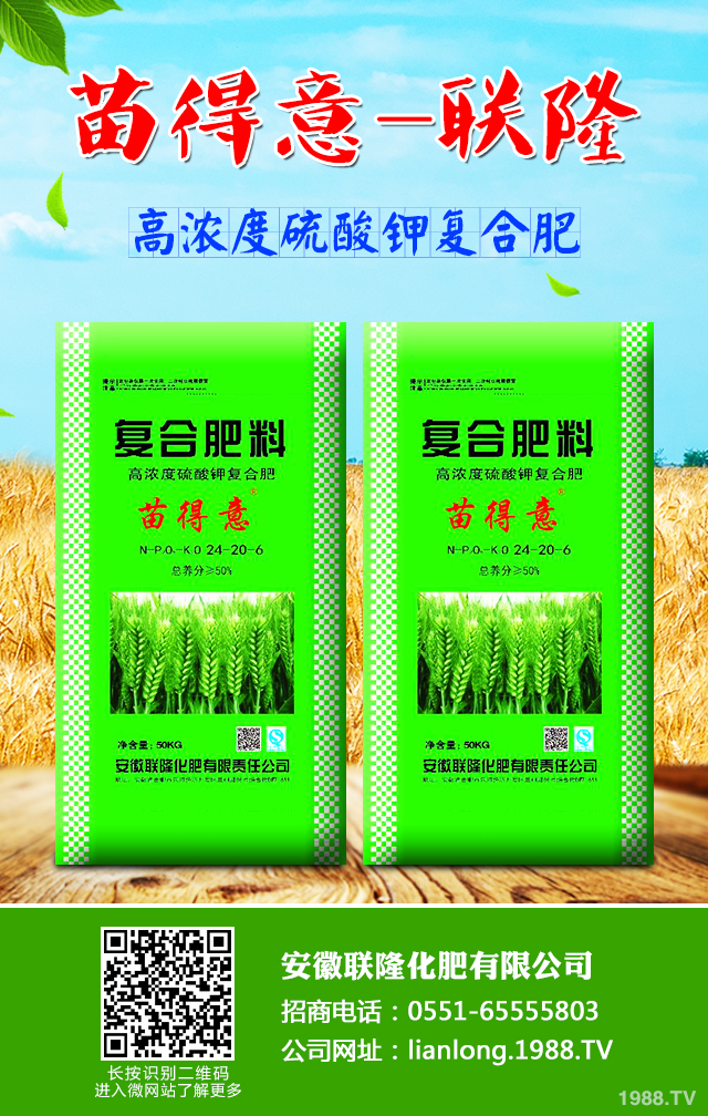 С����ô����Ч������С�����������g����