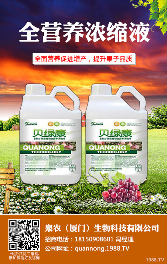 ���[��Ҋ���x������Щ��ԓ��η��Σ����[�������μ��g(sh��)