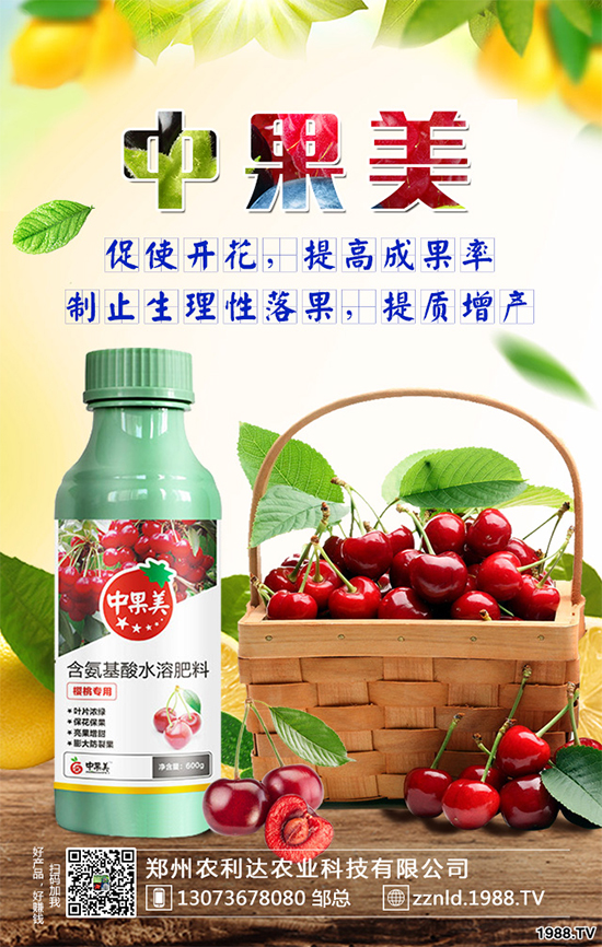 ��ʲô�r��N�Nֲ���𽷷NֲҪ�c��