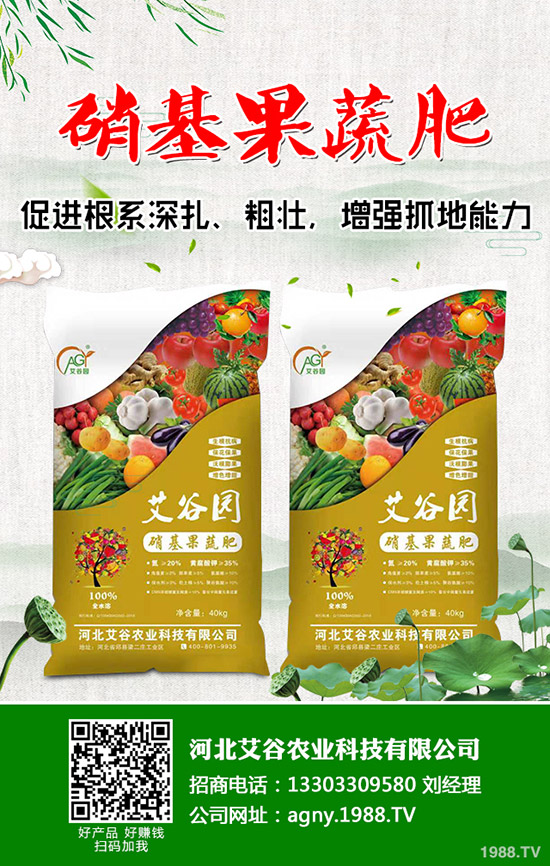 ��Ҭ���c���m���ĠI(y��ng)�B(y��ng)�r(ji��)ֵ��ʲô��ͬ����Ҭ�����m���ą^(q��)�e����Щ��