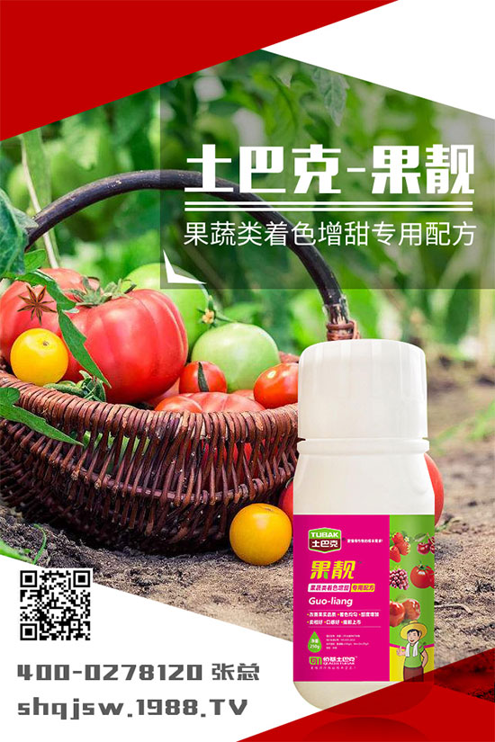 �ϹϷNֲ�r�g��ʲô�r�����ϹϵĲ��N���������༼�g!