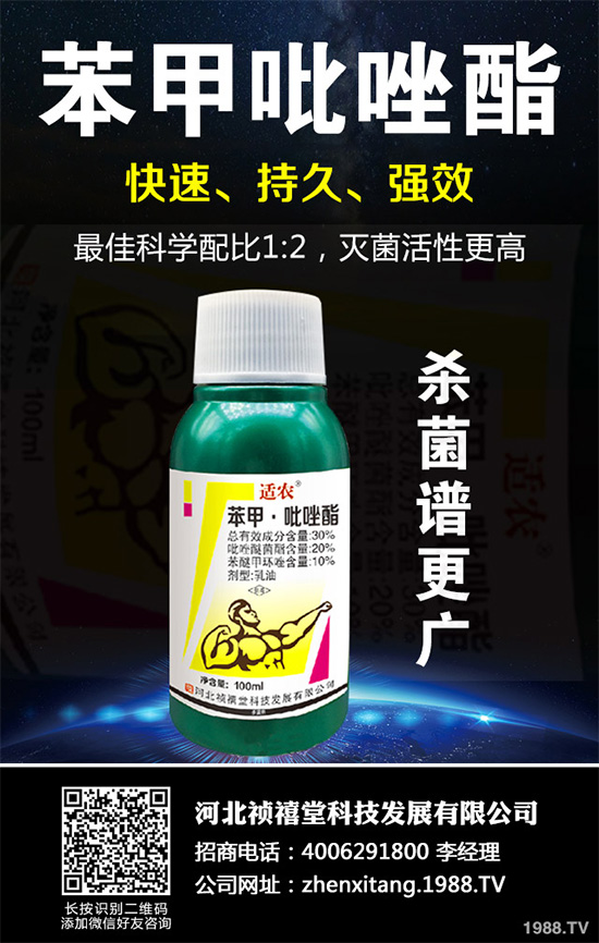     ��֦�������r��