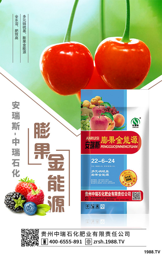 �n��ԓ����������n�����ڹ������g(sh��)Ҫ�c(di��n)