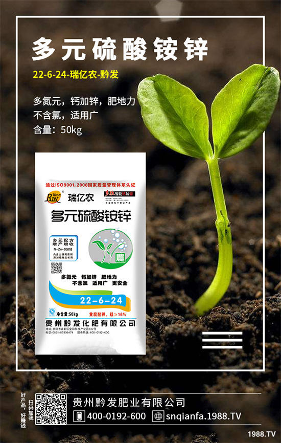 �n��ԓ����������n�����ڹ������g(sh��)Ҫ�c(di��n)