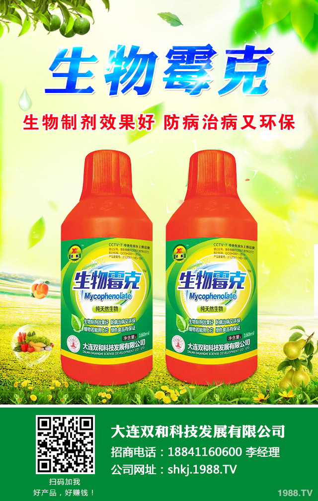 西瓜霜霉病怎么辦?西瓜霜霉病的防治很關(guān)鍵