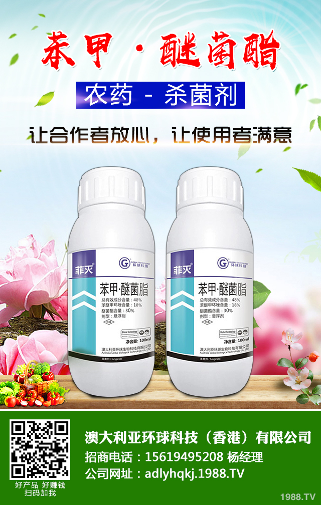 大棚黃瓜疫病怎么辦?大棚黃瓜疫病防治技巧