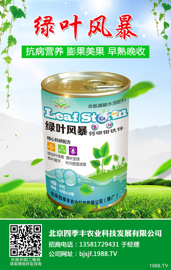 西瓜什么時(shí)候種植好?西瓜的種植時(shí)間和方法!