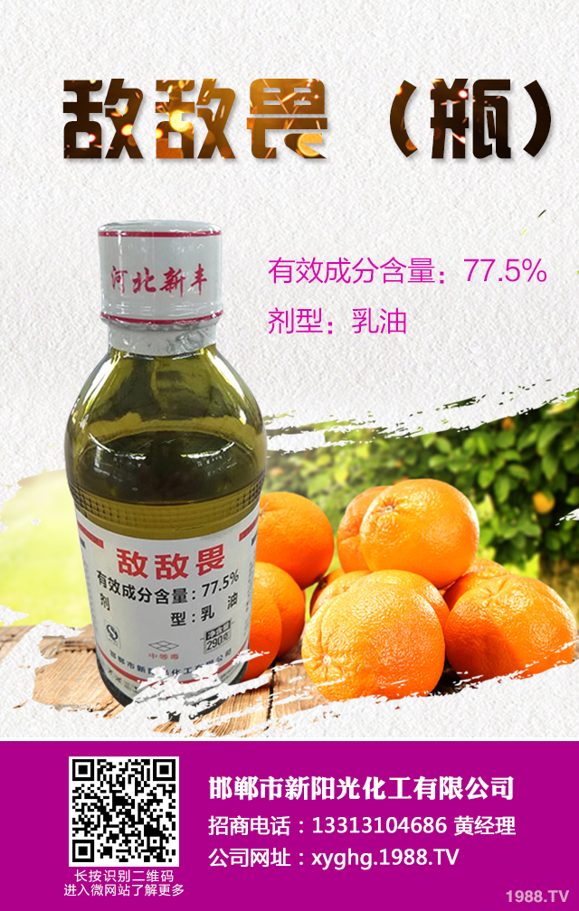 ���ټt֩����ô���������ټt֩����Ч���μ���