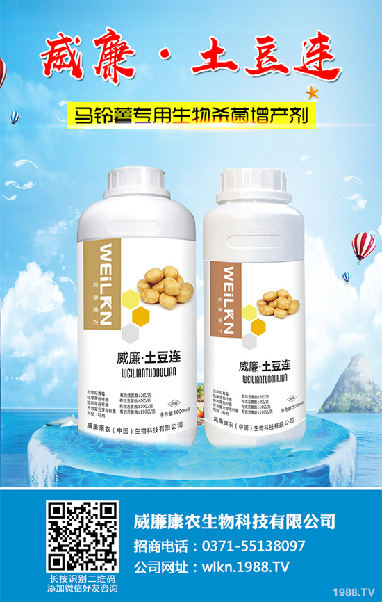 �㶹����������ЩΣ�����F(xi��n)��ԓ���ӷ������㶹���������η���