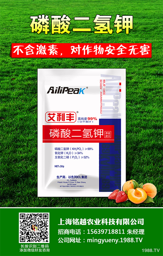 �㶹����������ЩΣ�����F(xi��n)��ԓ���ӷ������㶹���������η���