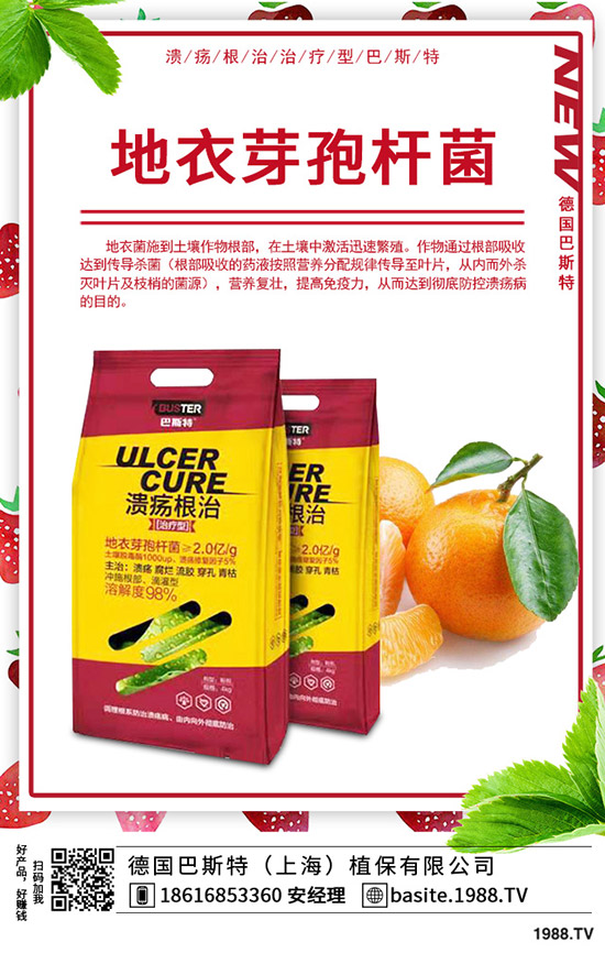 �t��̦��ô�N���t��̦�ķNֲ�r�g���Nֲ������