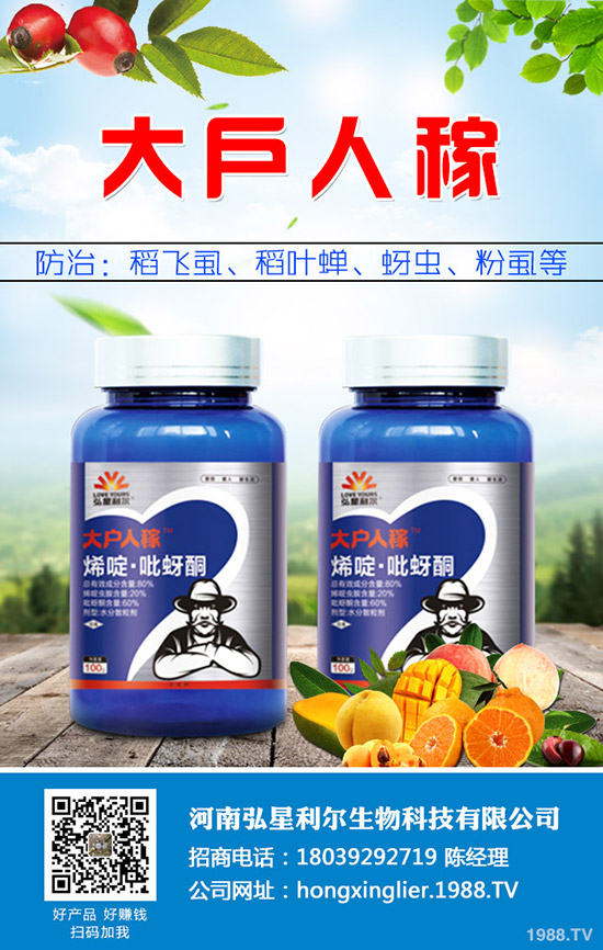 ���[�Nֲ��Ҫ��ô���������[�Nֲ�������g(sh��)Ҫ�c(di��n)��