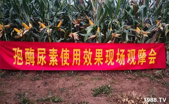 �ٿ���С�����a(ch��n)1471�����pø����ȫ�����������߮a(ch��n)������(d��ng)֮�o����